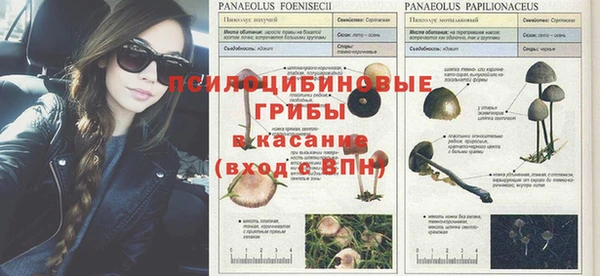 таблы Абинск