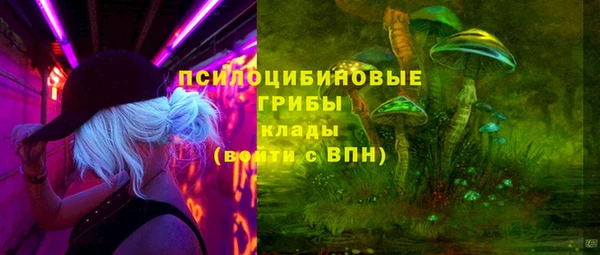 альфа пвп Медногорск